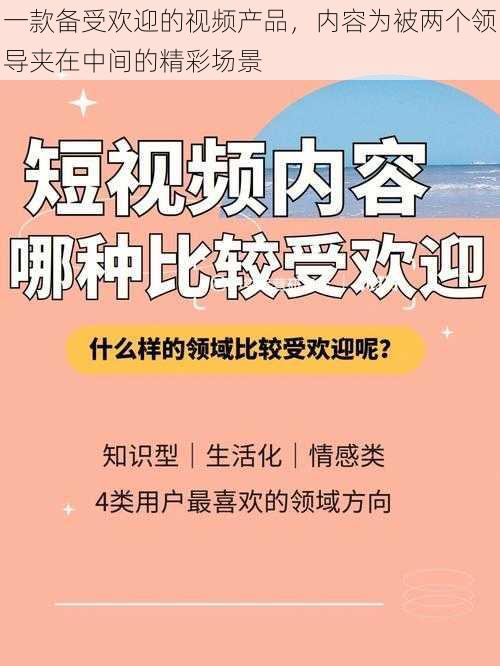 一款备受欢迎的视频产品，内容为被两个领导夹在中间的精彩场景