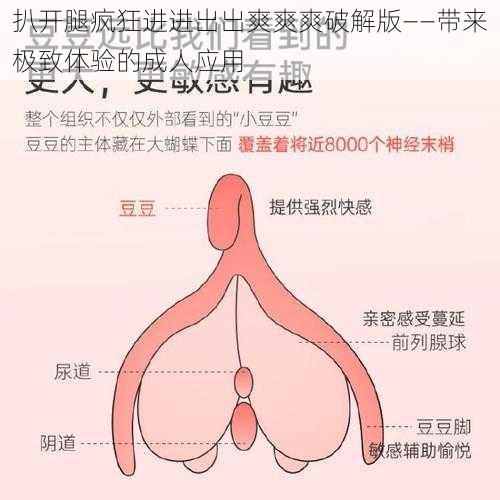 扒开腿疯狂进进出出爽爽爽破解版——带来极致体验的成人应用