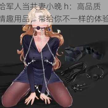 给军人当共妻小晚 h：高品质情趣用品，带给你不一样的体验