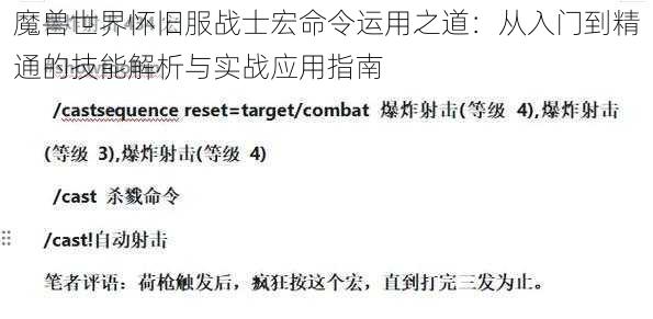 魔兽世界怀旧服战士宏命令运用之道：从入门到精通的技能解析与实战应用指南