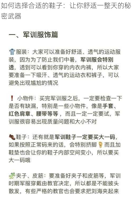 如何选择合适的鞋子：让你舒适一整天的秘密武器