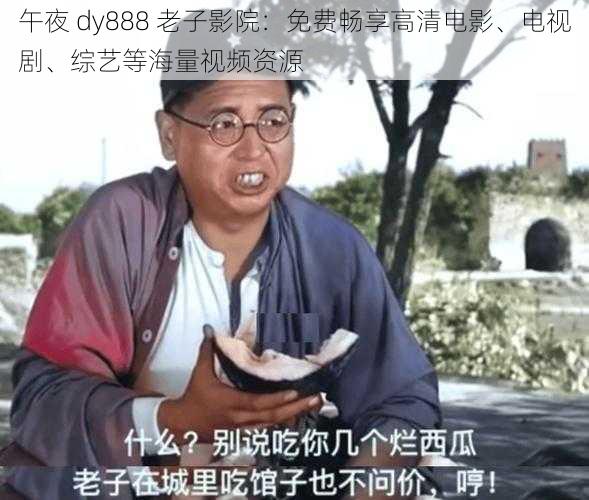 午夜 dy888 老子影院：免费畅享高清电影、电视剧、综艺等海量视频资源