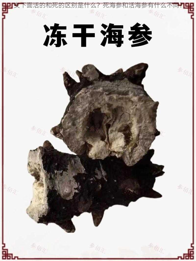 女下面活的和死的区别是什么？死海参和活海参有什么不同？