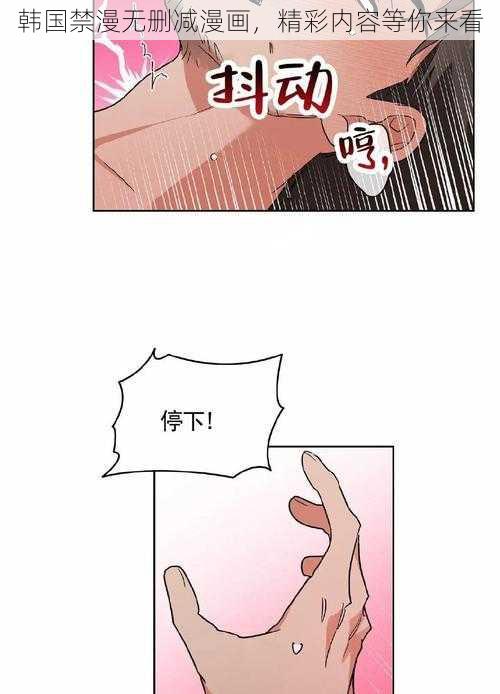 韩国禁漫无删减漫画，精彩内容等你来看