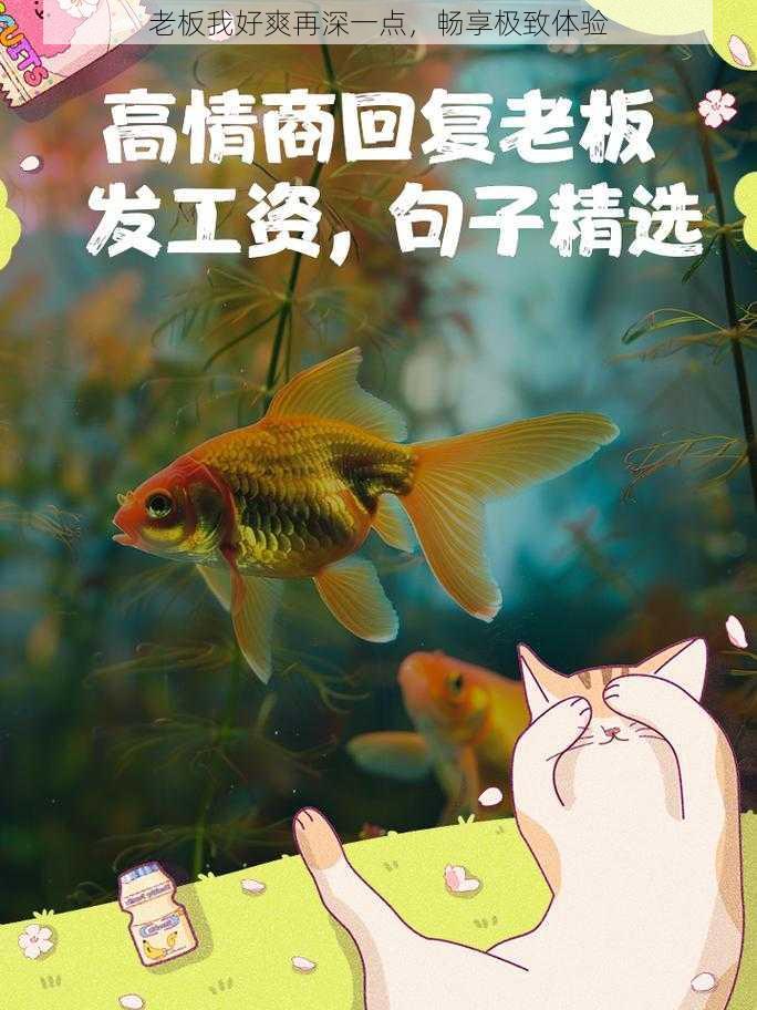 老板我好爽再深一点，畅享极致体验