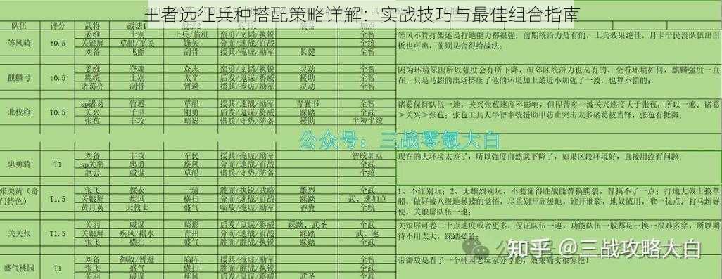 王者远征兵种搭配策略详解：实战技巧与最佳组合指南