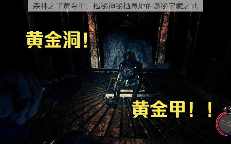 森林之子黄金甲：揭秘神秘栖息地的隐秘宝藏之地