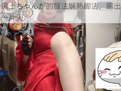 黑土ちゃんが的腿法娴熟脚法，踢出一片天