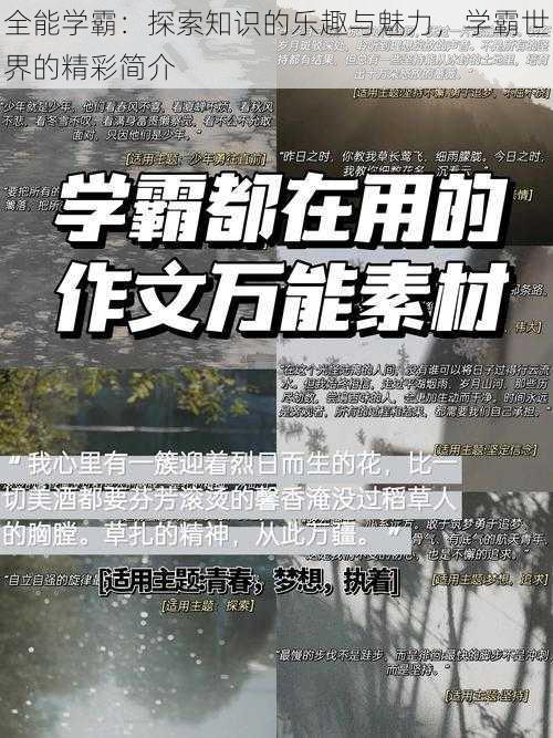 全能学霸：探索知识的乐趣与魅力，学霸世界的精彩简介