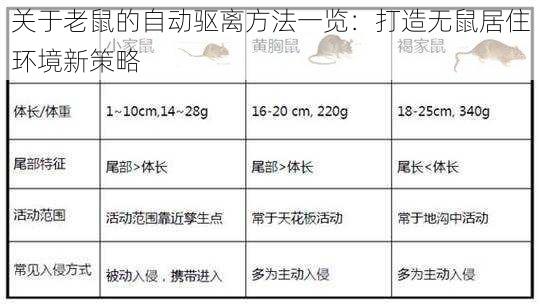 关于老鼠的自动驱离方法一览：打造无鼠居住环境新策略