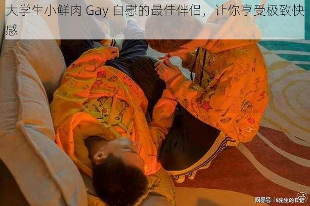 大学生小鲜肉 Gay 自慰的最佳伴侣，让你享受极致快感