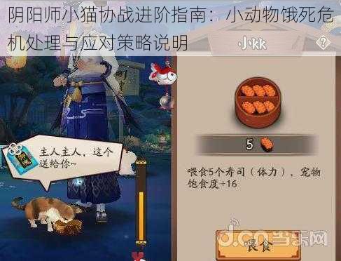 阴阳师小猫协战进阶指南：小动物饿死危机处理与应对策略说明