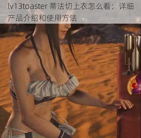 lv13toaster 蒂法切上衣怎么看：详细产品介绍和使用方法