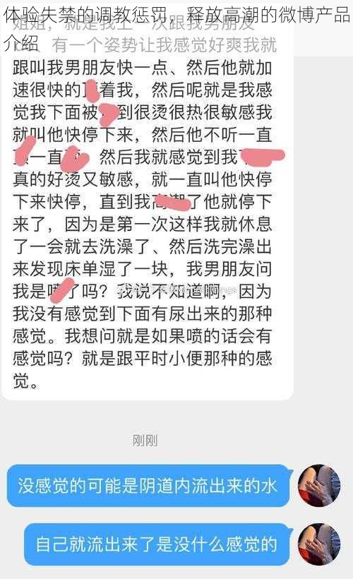 体验失禁的调教惩罚，释放高潮的微博产品介绍