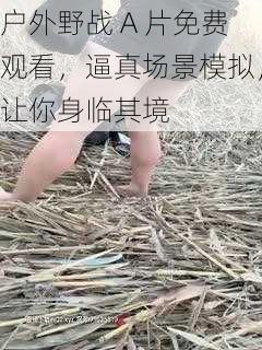 户外野战 A 片免费观看，逼真场景模拟，让你身临其境