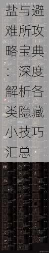 盐与避难所攻略宝典：深度解析各类隐藏小技巧汇总