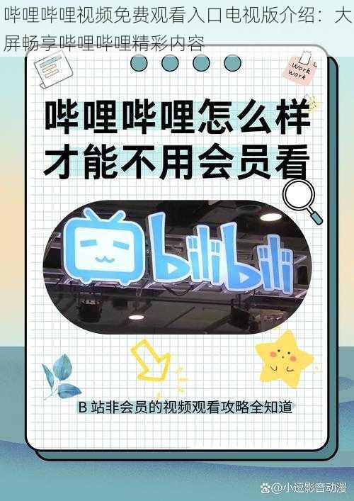 哔哩哔哩视频免费观看入口电视版介绍：大屏畅享哔哩哔哩精彩内容