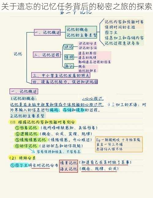 关于遗忘的记忆任务背后的秘密之旅的探索