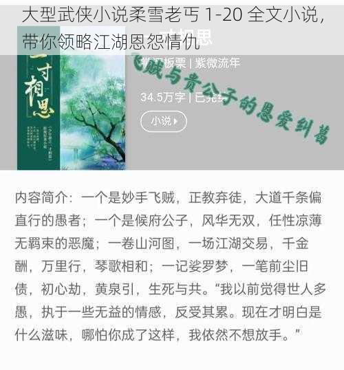 大型武侠小说柔雪老丐 1-20 全文小说，带你领略江湖恩怨情仇