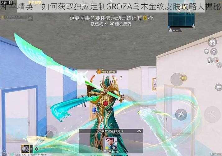 和平精英：如何获取独家定制GROZA乌木金纹皮肤攻略大揭秘