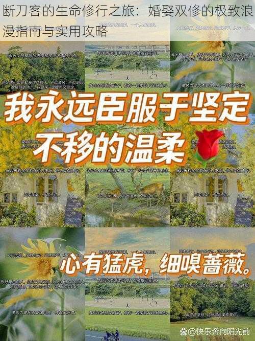 断刀客的生命修行之旅：婚娶双修的极致浪漫指南与实用攻略