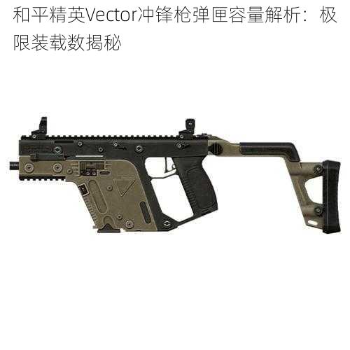 和平精英Vector冲锋枪弹匣容量解析：极限装载数揭秘