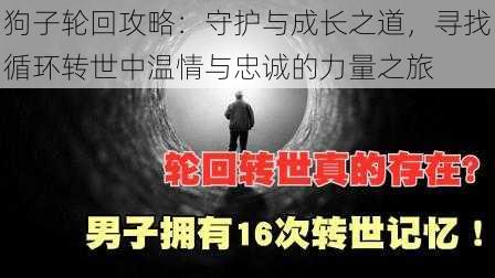 狗子轮回攻略：守护与成长之道，寻找循环转世中温情与忠诚的力量之旅