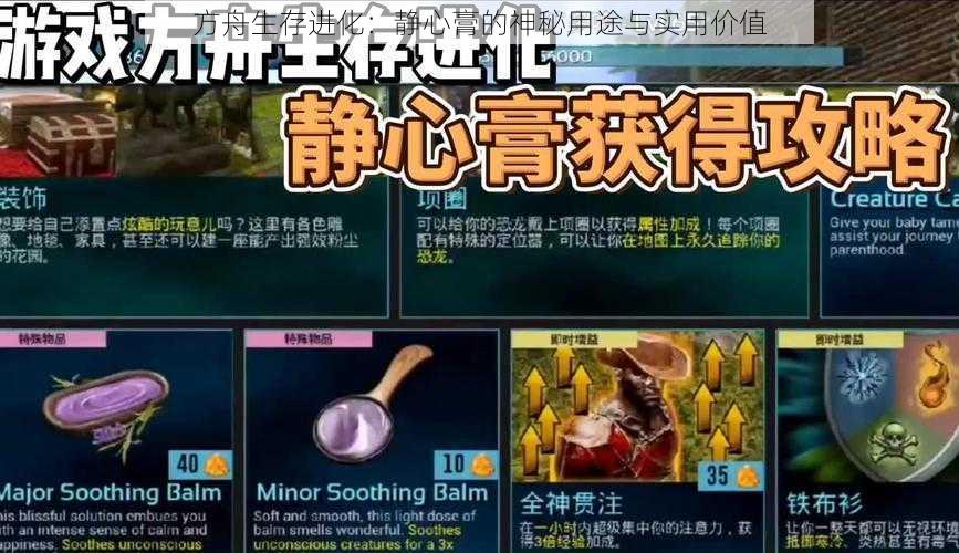 方舟生存进化：静心膏的神秘用途与实用价值