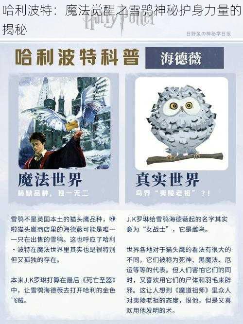 哈利波特：魔法觉醒之雪鸮神秘护身力量的揭秘