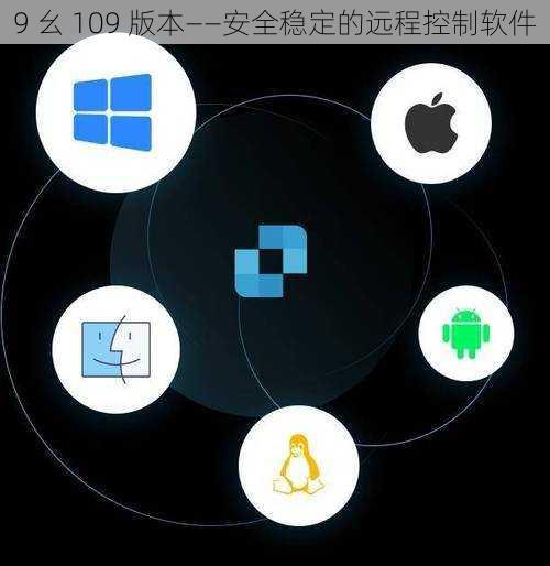 9 幺 109 版本——安全稳定的远程控制软件
