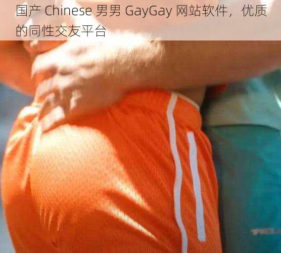 国产 Chinese 男男 GayGay 网站软件，优质的同性交友平台