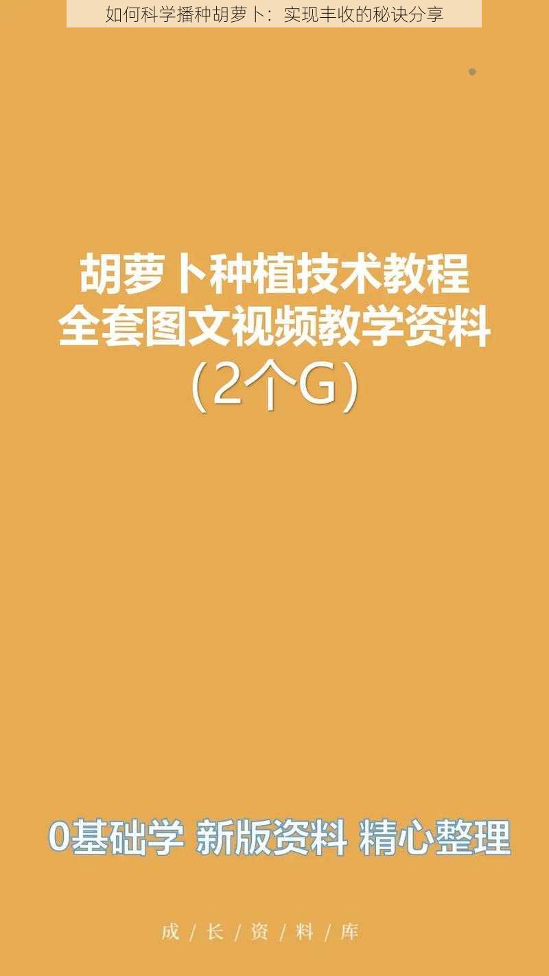 如何科学播种胡萝卜：实现丰收的秘诀分享