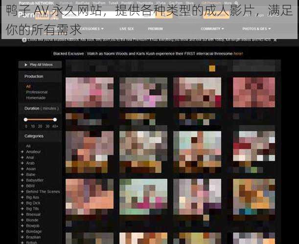 鸭子 AV 永久网站，提供各种类型的成人影片，满足你的所有需求