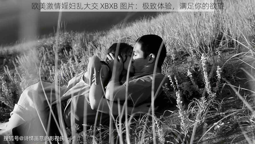 欧美激情婬妇乱大交 XBXB 图片：极致体验，满足你的欲望