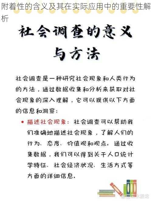 附着性的含义及其在实际应用中的重要性解析