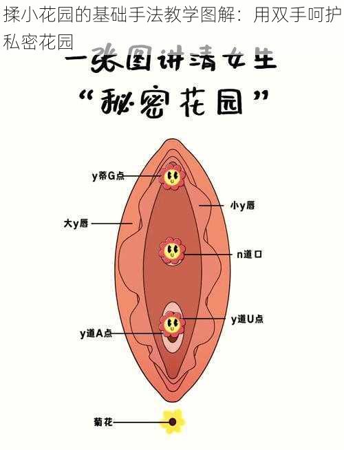 揉小花园的基础手法教学图解：用双手呵护私密花园