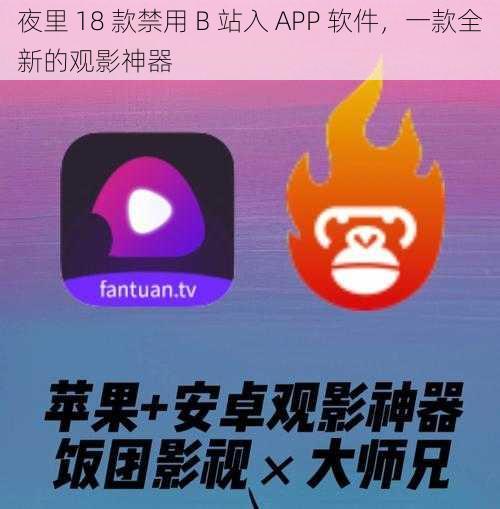 夜里 18 款禁用 B 站入 APP 软件，一款全新的观影神器