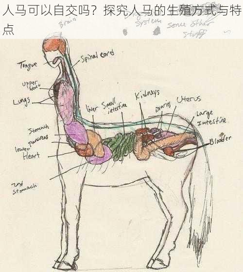 人马可以自交吗？探究人马的生殖方式与特点