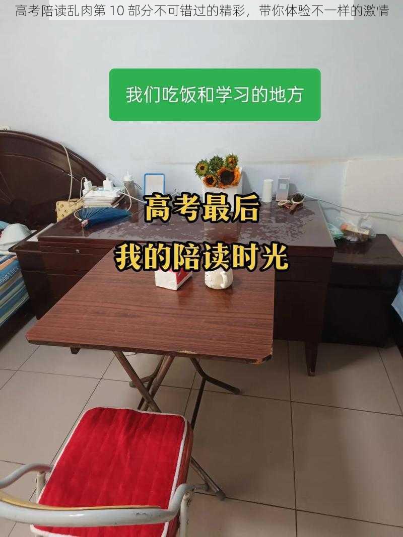 高考陪读乱肉第 10 部分不可错过的精彩，带你体验不一样的激情