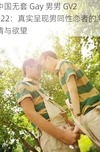 中国无套 Gay 男男 GV2022：真实呈现男同性恋者的激情与欲望