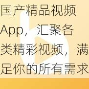 国产精品视频 App，汇聚各类精彩视频，满足你的所有需求