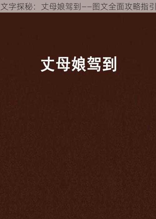 文字探秘：丈母娘驾到——图文全面攻略指引