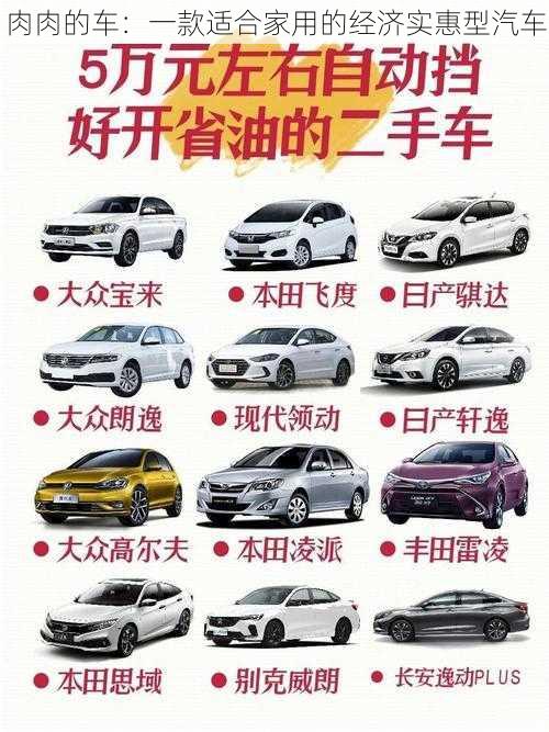 肉肉的车：一款适合家用的经济实惠型汽车