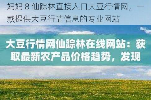 妈妈 8 仙踪林直接入口大豆行情网，一款提供大豆行情信息的专业网站