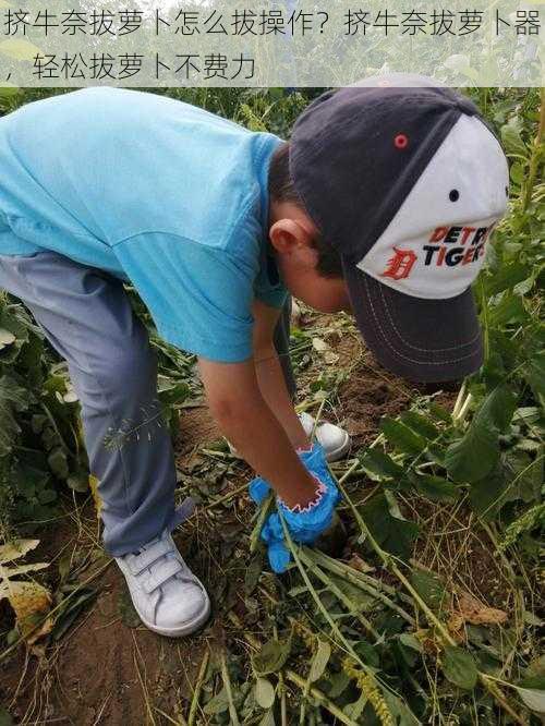 挤牛奈拔萝卜怎么拔操作？挤牛奈拔萝卜器，轻松拔萝卜不费力