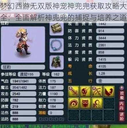 梦幻西游无双版神宠神兜兜获取攻略大全：全面解析神兜兜的捕捉与培养之道