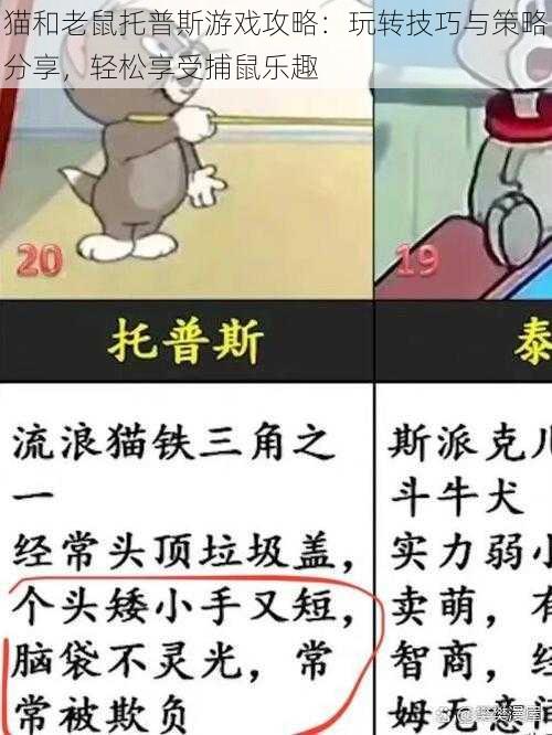 猫和老鼠托普斯游戏攻略：玩转技巧与策略分享，轻松享受捕鼠乐趣