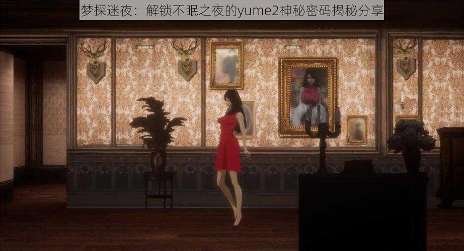 梦探迷夜：解锁不眠之夜的yume2神秘密码揭秘分享