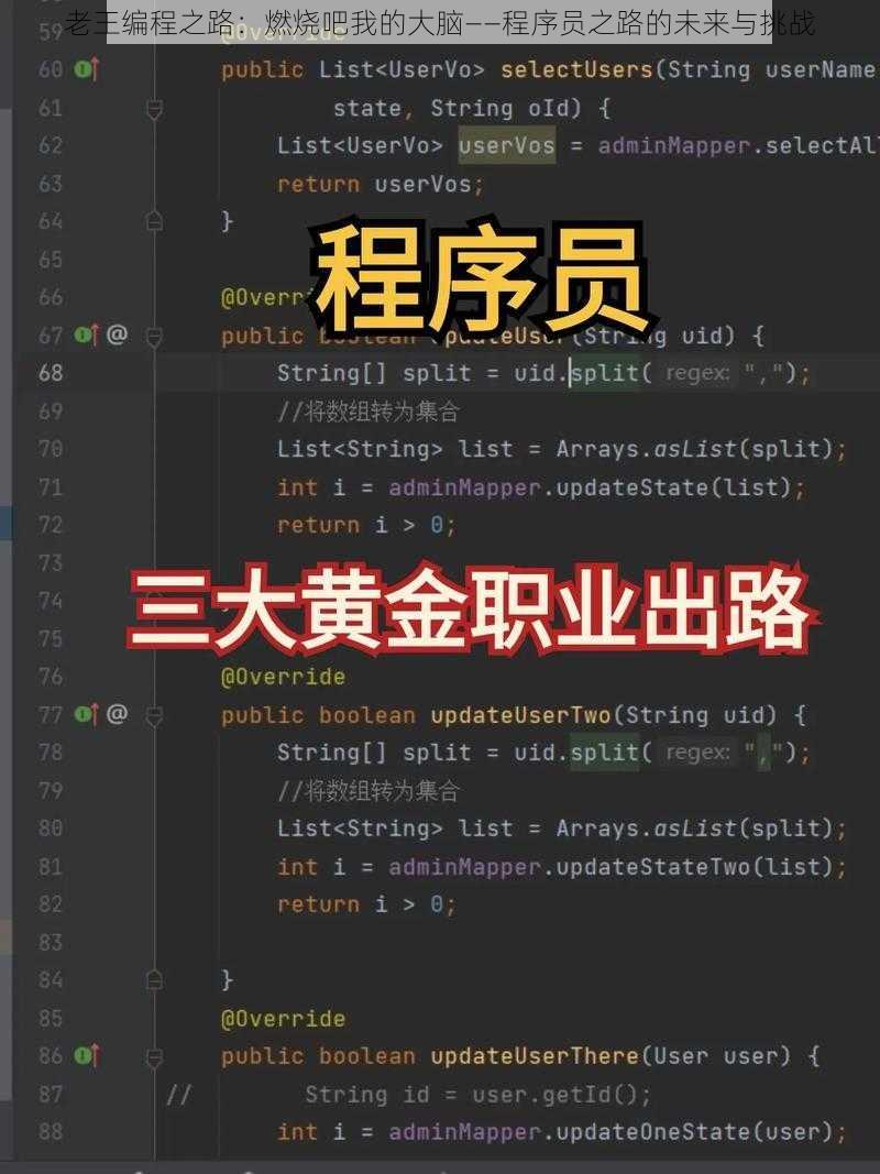 老王编程之路：燃烧吧我的大脑——程序员之路的未来与挑战