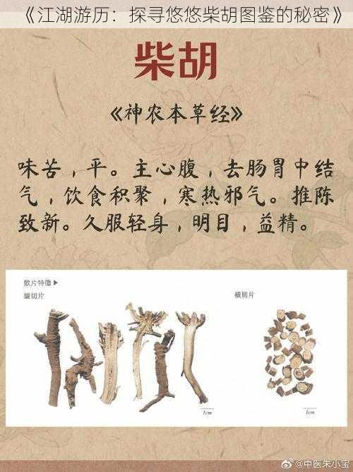 《江湖游历：探寻悠悠柴胡图鉴的秘密》